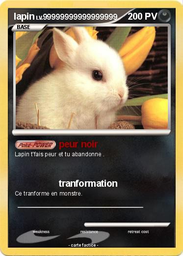 Pokemon lapin