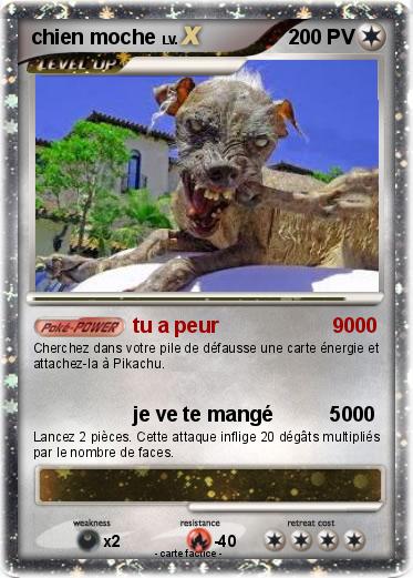 Pokemon chien moche