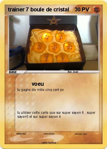 Pokemon trainer 7 boule de cristal