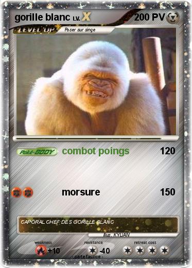 Pokemon gorille blanc