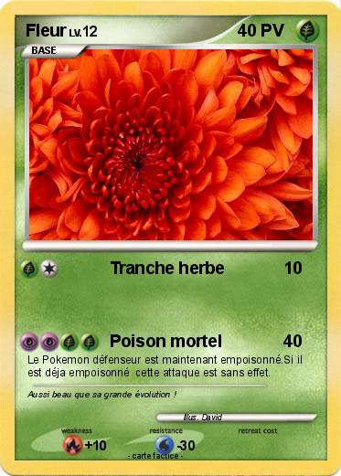 Pokemon Fleur