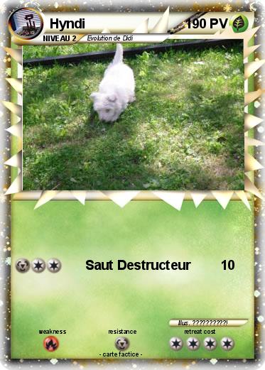 Pokemon Hyndi