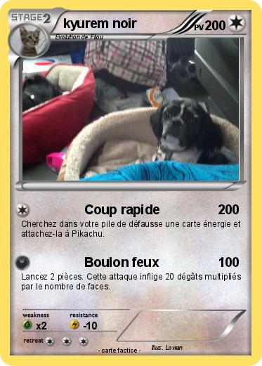 Pokemon kyurem noir