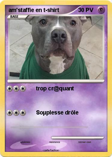 Pokemon am'staffie en t-shirt