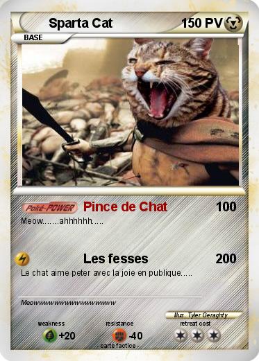 Pokemon Sparta Cat