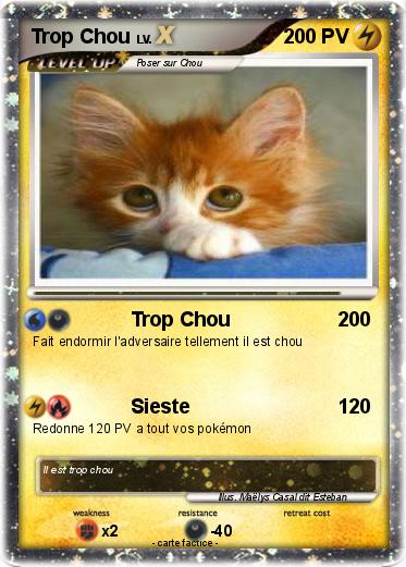 Pokemon Trop Chou