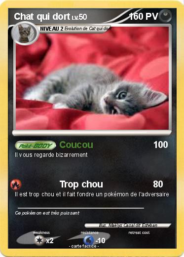 Pokemon Chat qui dort