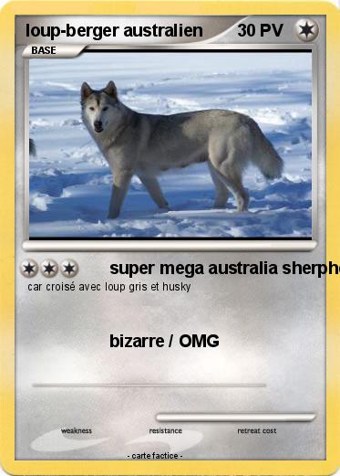 Pokemon loup-berger australien