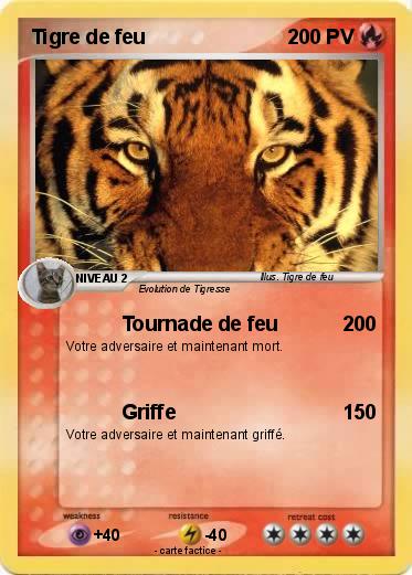 Pokemon Tigre de feu
