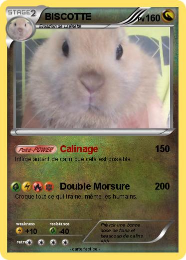 Pokemon BISCOTTE