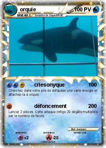 Pokemon orquie