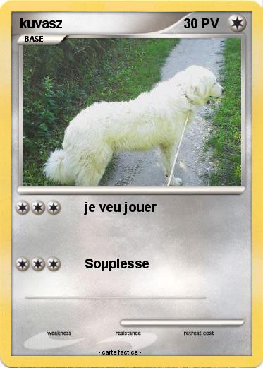 Pokemon kuvasz