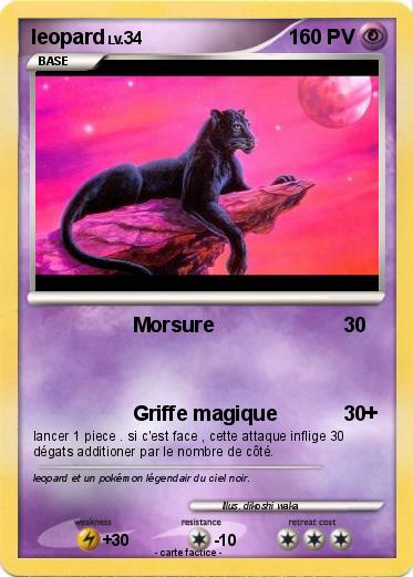 Pokemon leopard