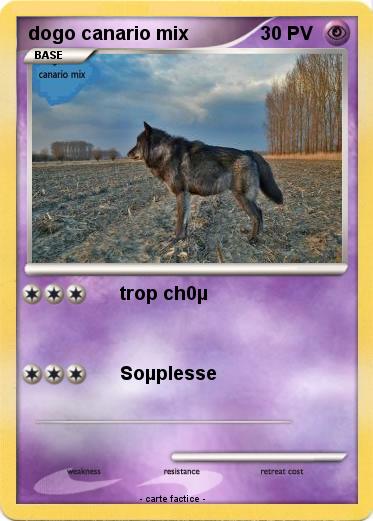Pokemon dogo canario mix