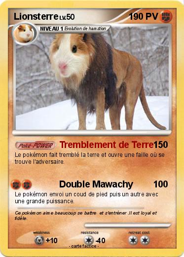 Pokemon Lionsterre
