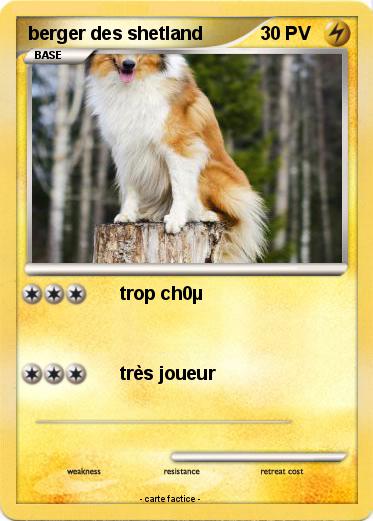 Pokemon berger des shetland