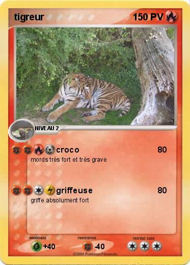 Pokemon tigreur