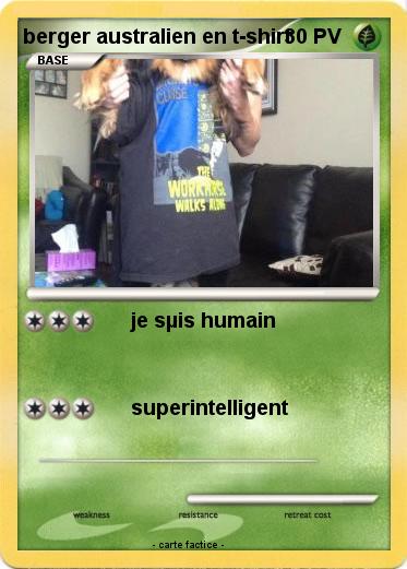 Pokemon berger australien en t-shirt