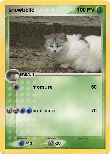 Pokemon snowbelle
