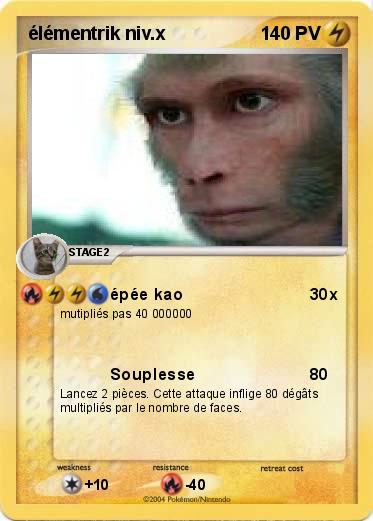 Pokemon élémentrik niv.x