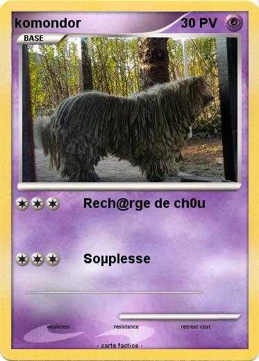 Pokemon komondor