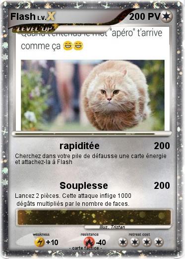 Pokemon Flash