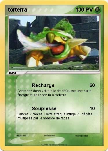 Pokemon torterra