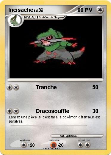 Pokemon Incisache