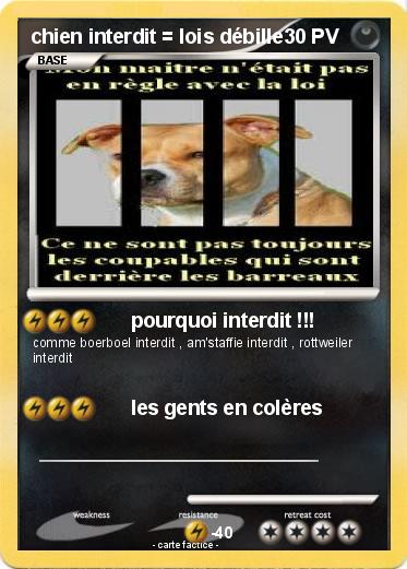 Pokemon chien interdit = lois débille