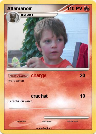 Pokemon Aflamanoir