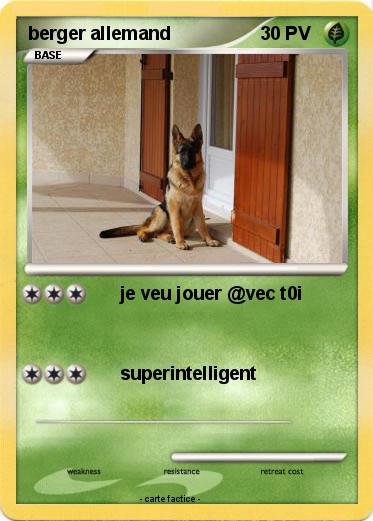Pokemon berger allemand