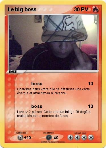 Pokemon l e big boss