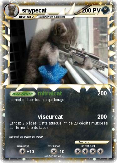 Pokemon snypecat