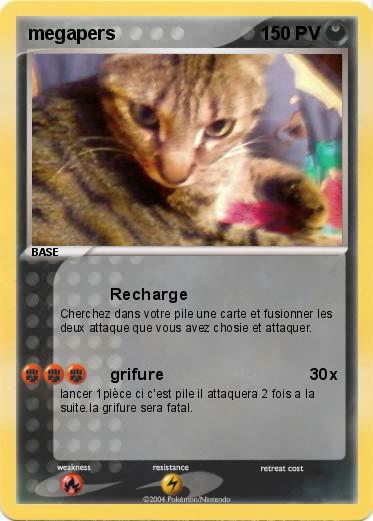 Pokemon megapers