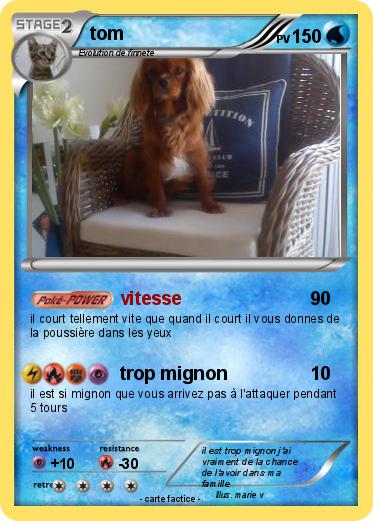 Pokemon tom