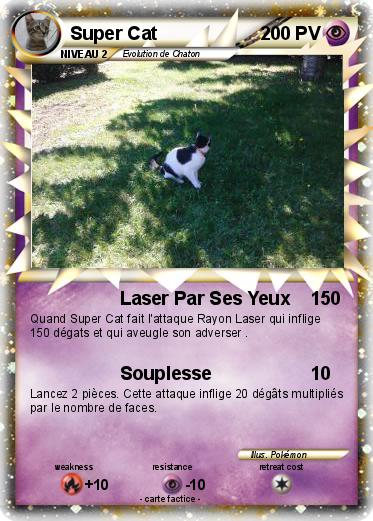 Pokemon Super Cat