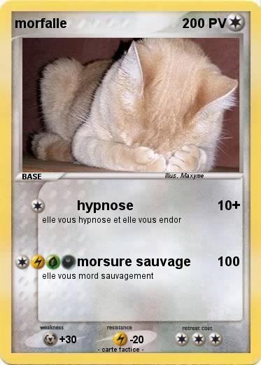 Pokemon morfalle