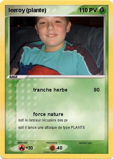Pokemon leeroy (plante)