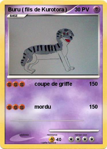 Pokemon Buru ( fils de Kurotora )