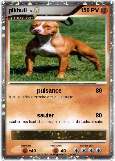 Pokemon pikbull