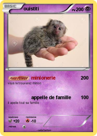Pokemon ouistiti