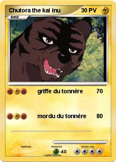 Pokemon Chutora the kai inu