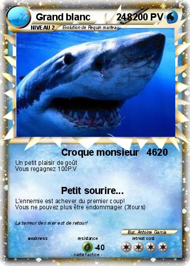 Pokemon Grand blanc          248