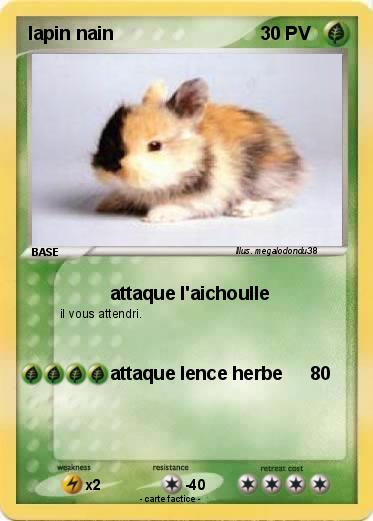 Pokemon lapin nain