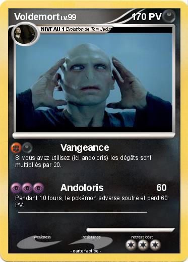 Pokemon Voldemort