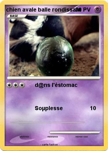Pokemon chien avale balle rondissant