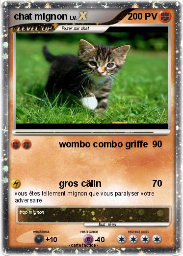 Pokemon chat mignon