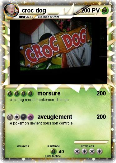 Pokemon croc dog