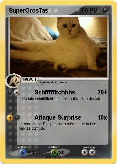 Pokemon SuperGrosTas