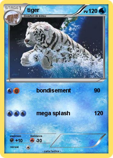 Pokemon tiger